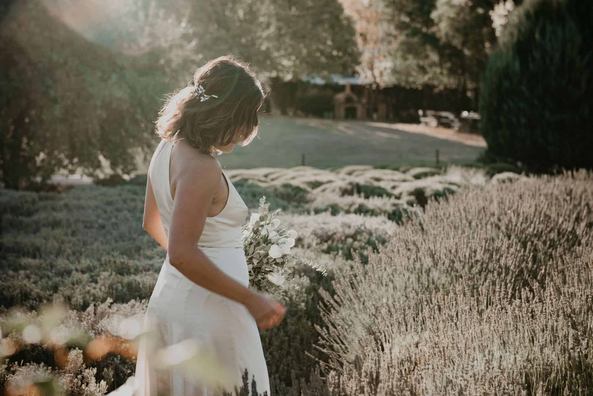 Bride walks through lavender in afternoon sunshine at Lavandula Swiss Italian Farm Daylesford Elopement with Let's Elope Melbourne Celebrant Photographer Elopement Package Victoria Sarah Matler Photography Macedon Ranges intimate wedding ceremony