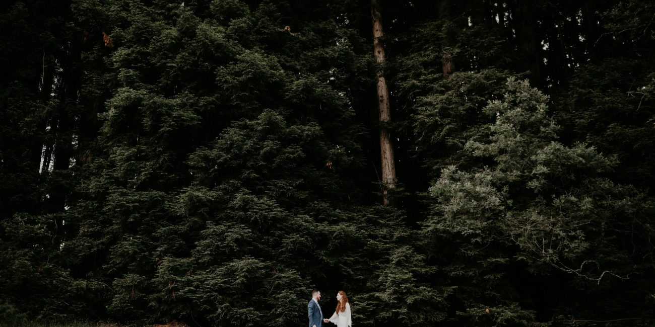 couple stands hold hands in front of tree line Warburton Redwood Forest Elopement Lets Elope Melbourne Celebrant Photographer Elopement Package Victoria Sarah Matler Photography Warburton Redwood Forest Yarra Valley weddings intimate