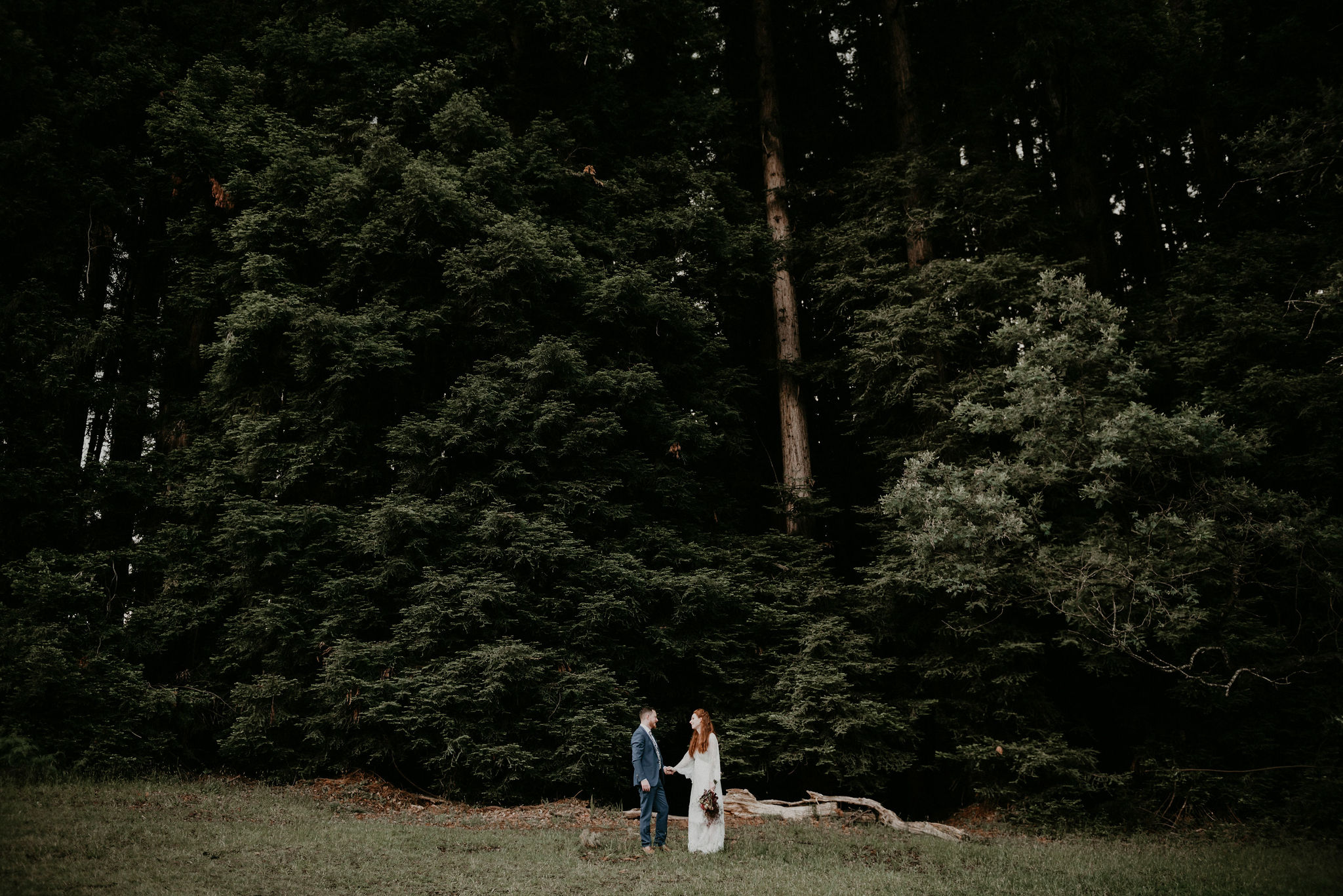 couple stands hold hands in front of tree line Warburton Redwood Forest Elopement Lets Elope Melbourne Celebrant Photographer Elopement Package Victoria Sarah Matler Photography Warburton Redwood Forest Yarra Valley weddings intimate