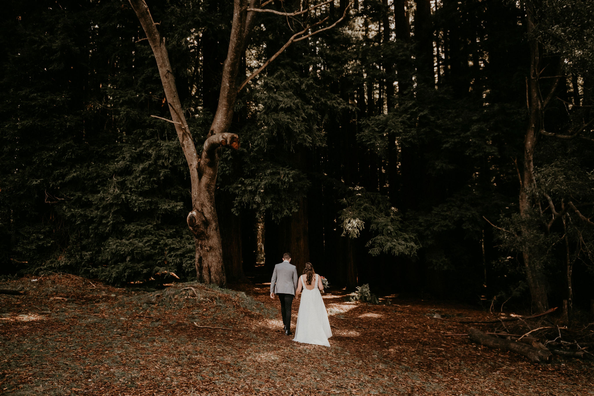 Lets-Elope-Melbourne-Celebrant-Photographer-Elopement-Package-Victoria-Sarah-Matler-Photography-Videography-Video-Warburton-Redwood-Forest-weddings-intimate-6