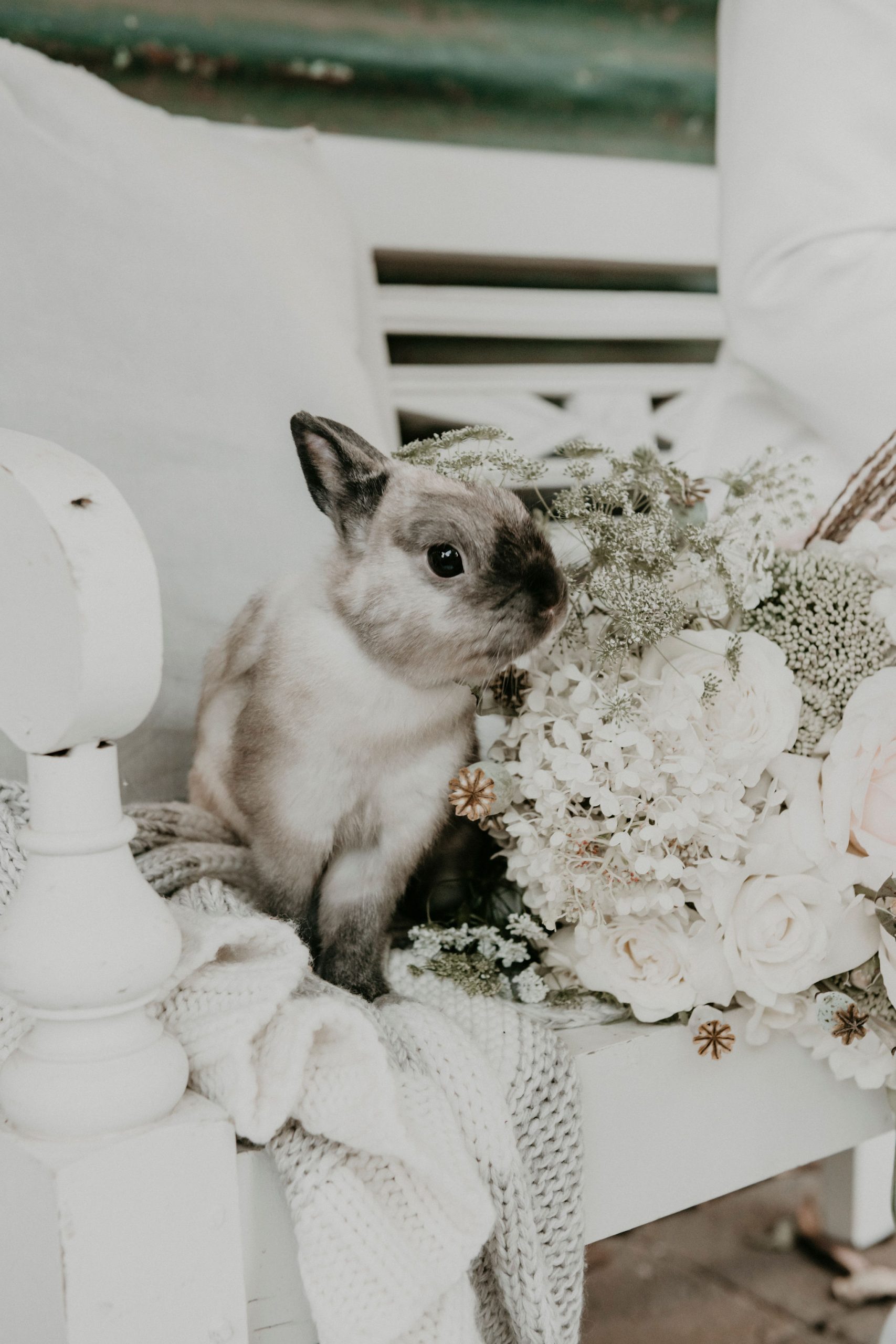 Bunny sits with bridal bouquet Let's Elope Melbourne Portfolio Celebrant Photographer Elopement Packages Victoria Sarah Matler Photography intimate weddings Acre of Roses Trentham romantic ceremony