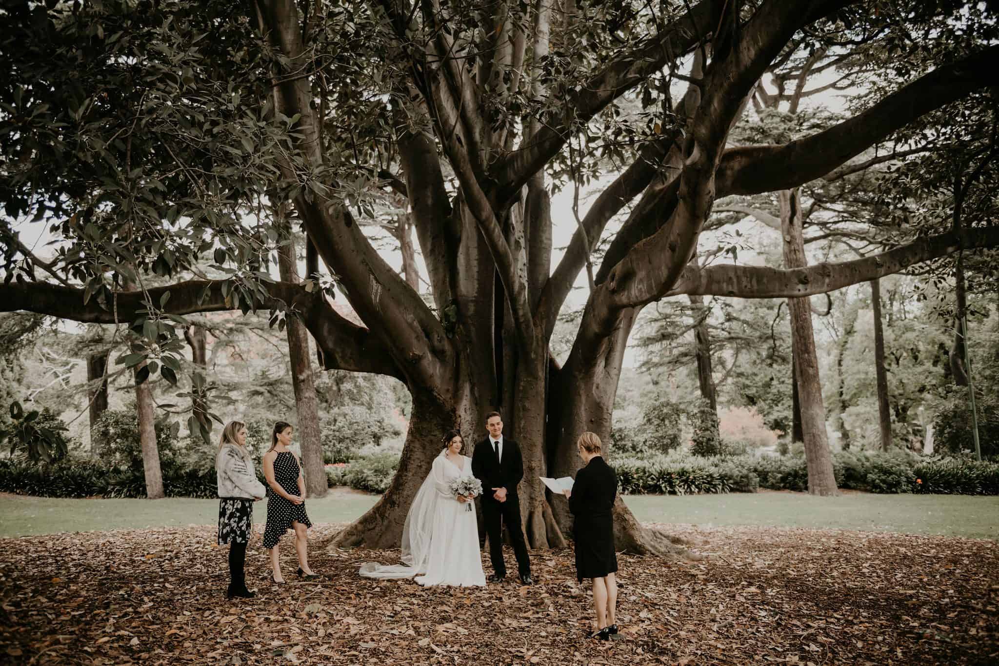 Elopement under fig tree Fitzroy Gardens Melbourne Ceremony and Photography - simple yet elegant ceremony which can be personalised and packaged with beautiful photography you will cherish forever. Lets Elope Melbourne Celebrant Photo Elopement Packages Victoria Sarah Matler Photographer Wedding Photos